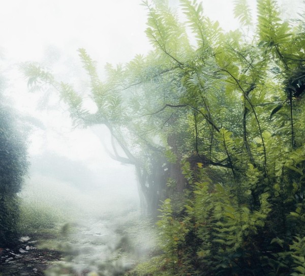 温暖的陕西故事,陕西宣传广告案例大赛 温暖的陕西故事,陕西宣传广告案例大赛